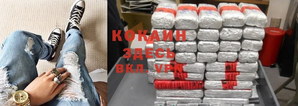 индика Инта