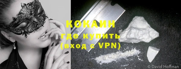 СК Елизово