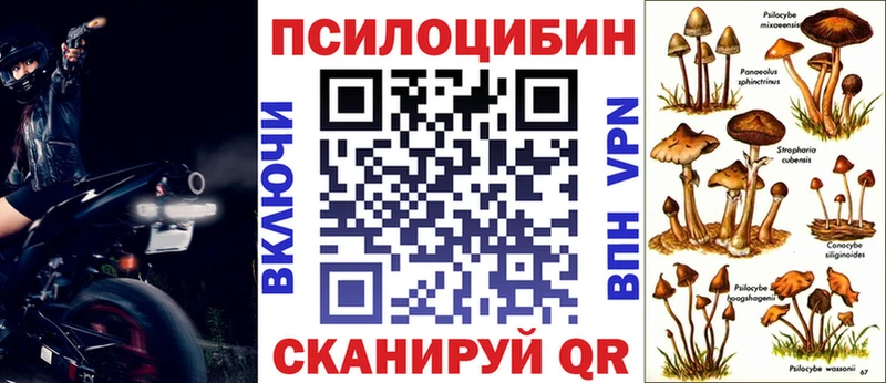 Псилоцибиновые грибы Cubensis  Себеж 